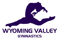 Wyoming Valley Gymnastics